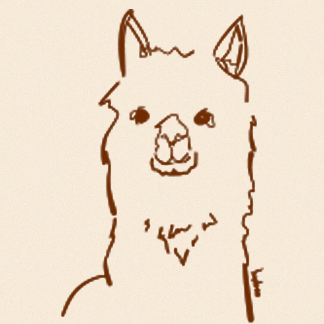 Alpaca Collections Coupons and Promo Code