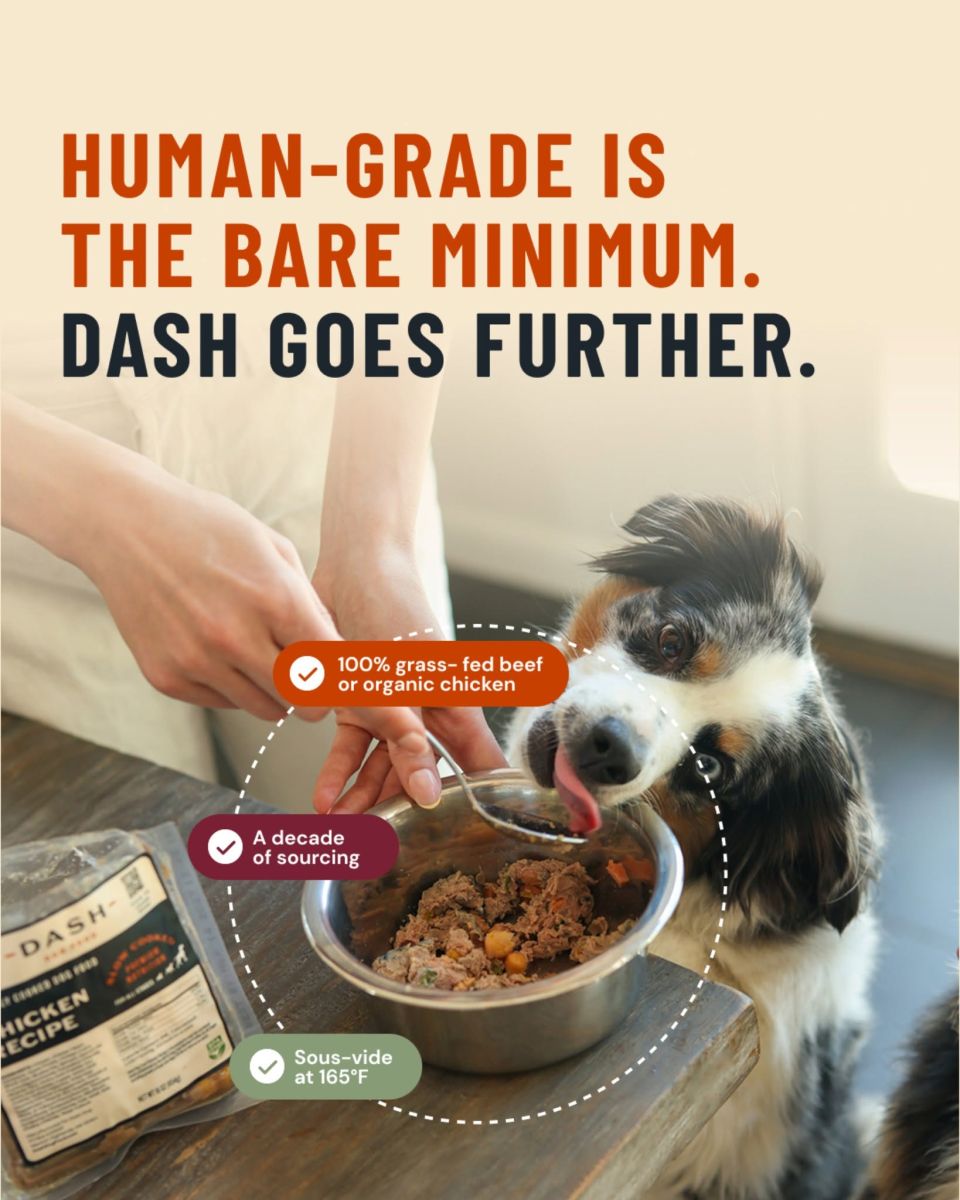 DASH Dog Food